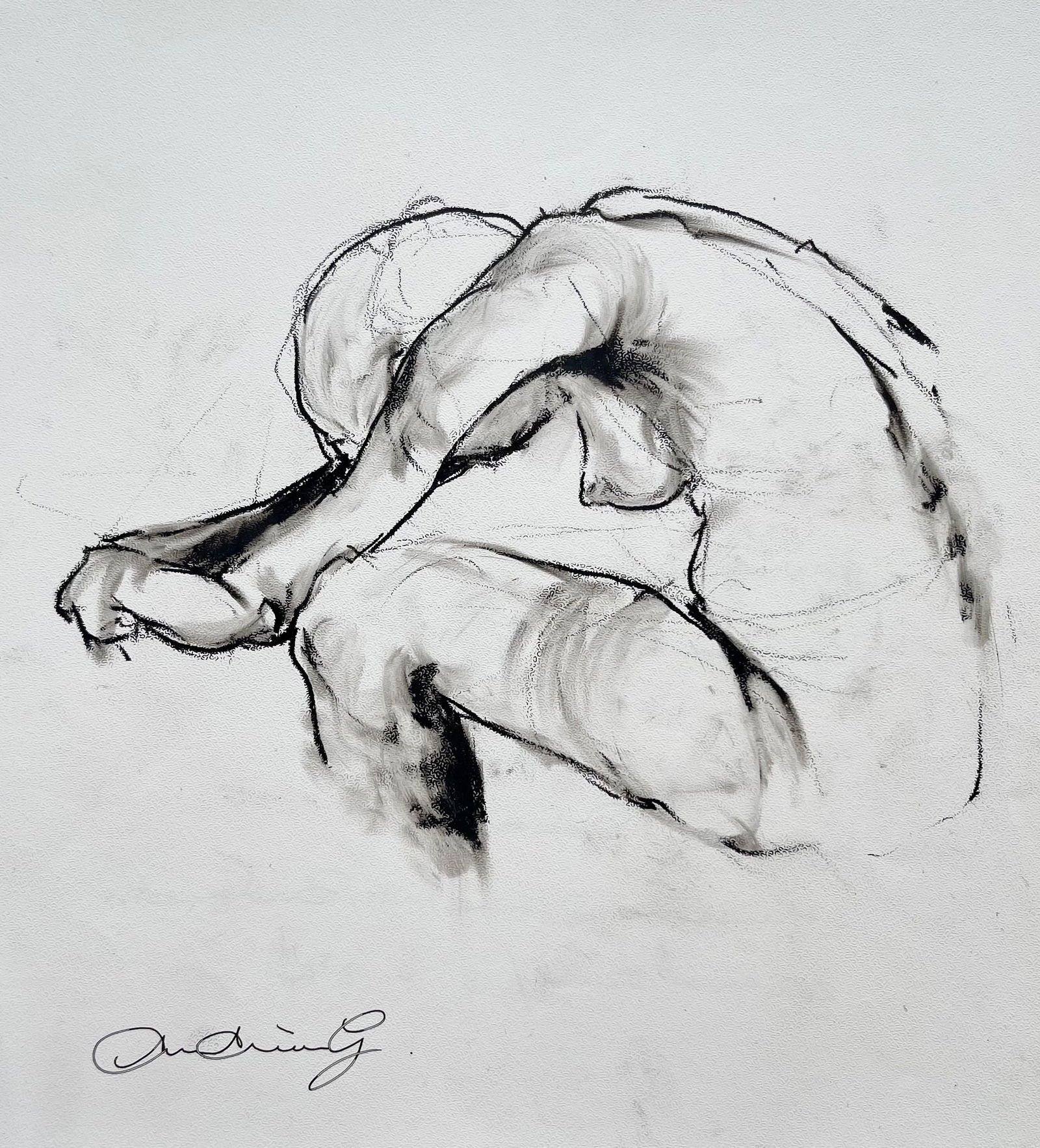 MIXED MEDIA ON PAPER FEMALE NUDE AFTER JULES DEBOIS: SIZE: 20.5 cm x 22 cm . DRAWING IS UNFRAMED. SHIPPING IN THE U.S VIA USPS PRIORITY MAIL $15