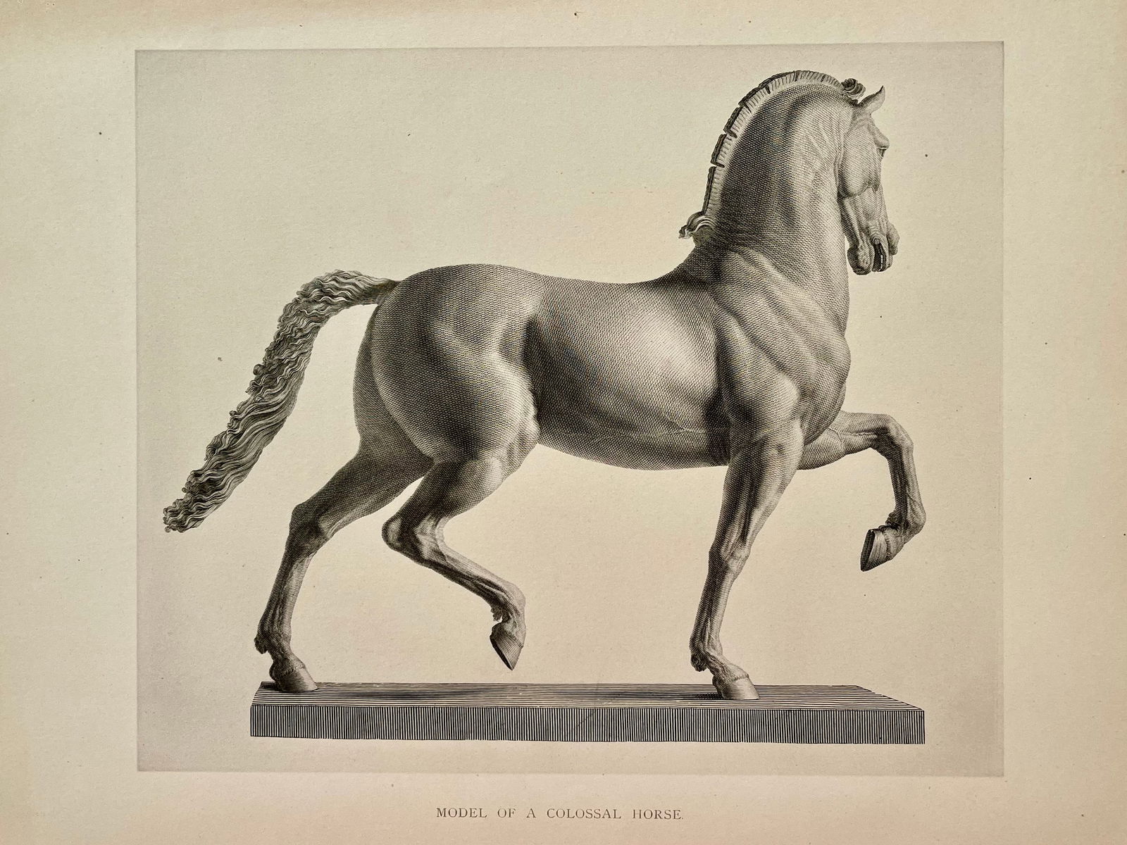 ANTIQUE PRINT AFTER ANTONIO CANOVA "COLOSSAL HORSE": SIZE: 10.5 X 13.5 INCHES APPROX. Printed Circa 1876. UNFRAMED. SHIPPING IN THE U.S VIA USPS PRIORITY MAIL $18