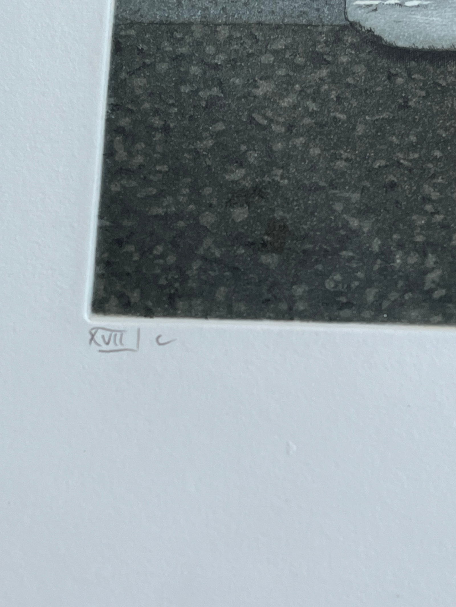 FRAMED GERMAN ETCHING - 4