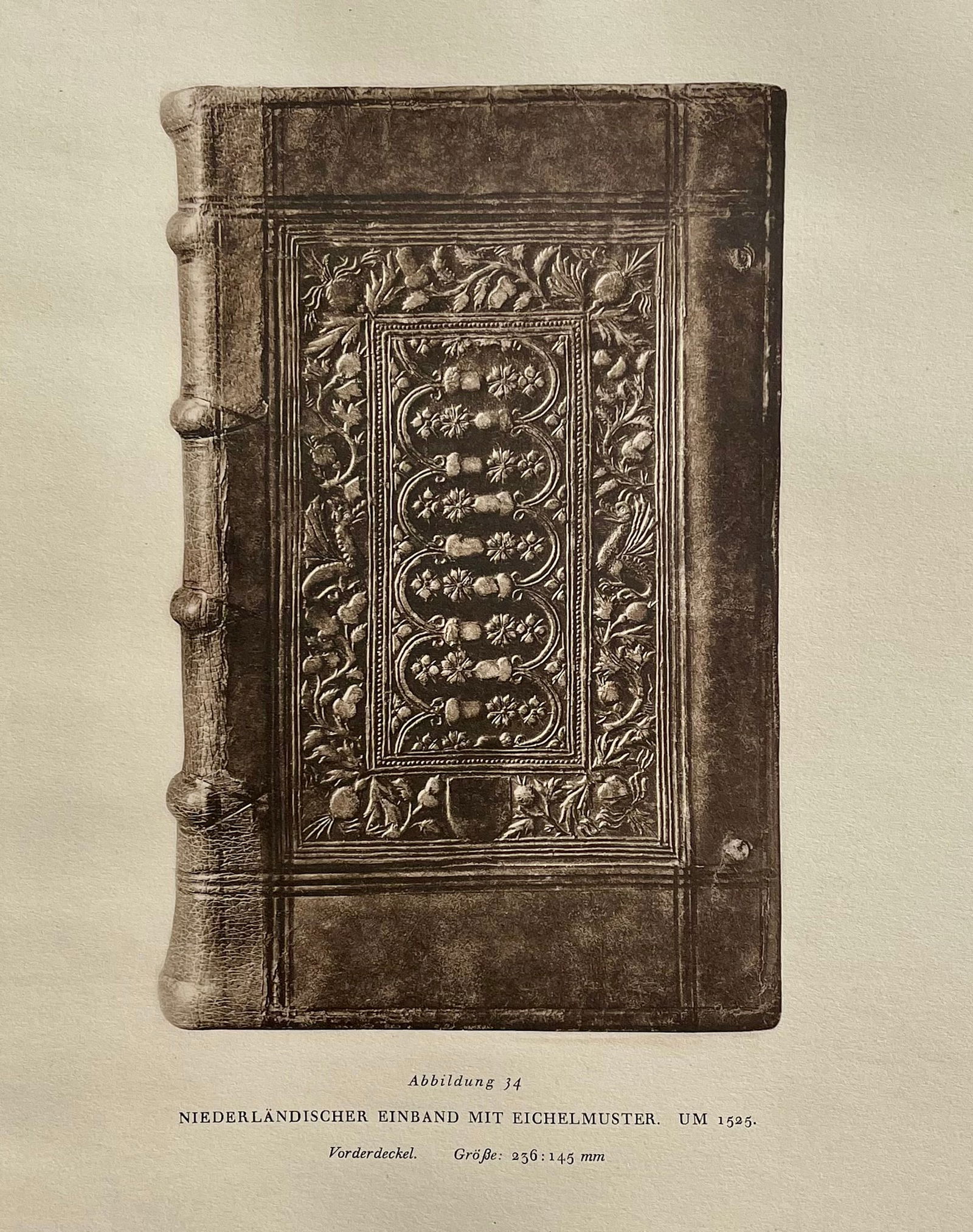 Original Antique Lithograph Antique Bookbinding Office Library Decor (1 of 1)