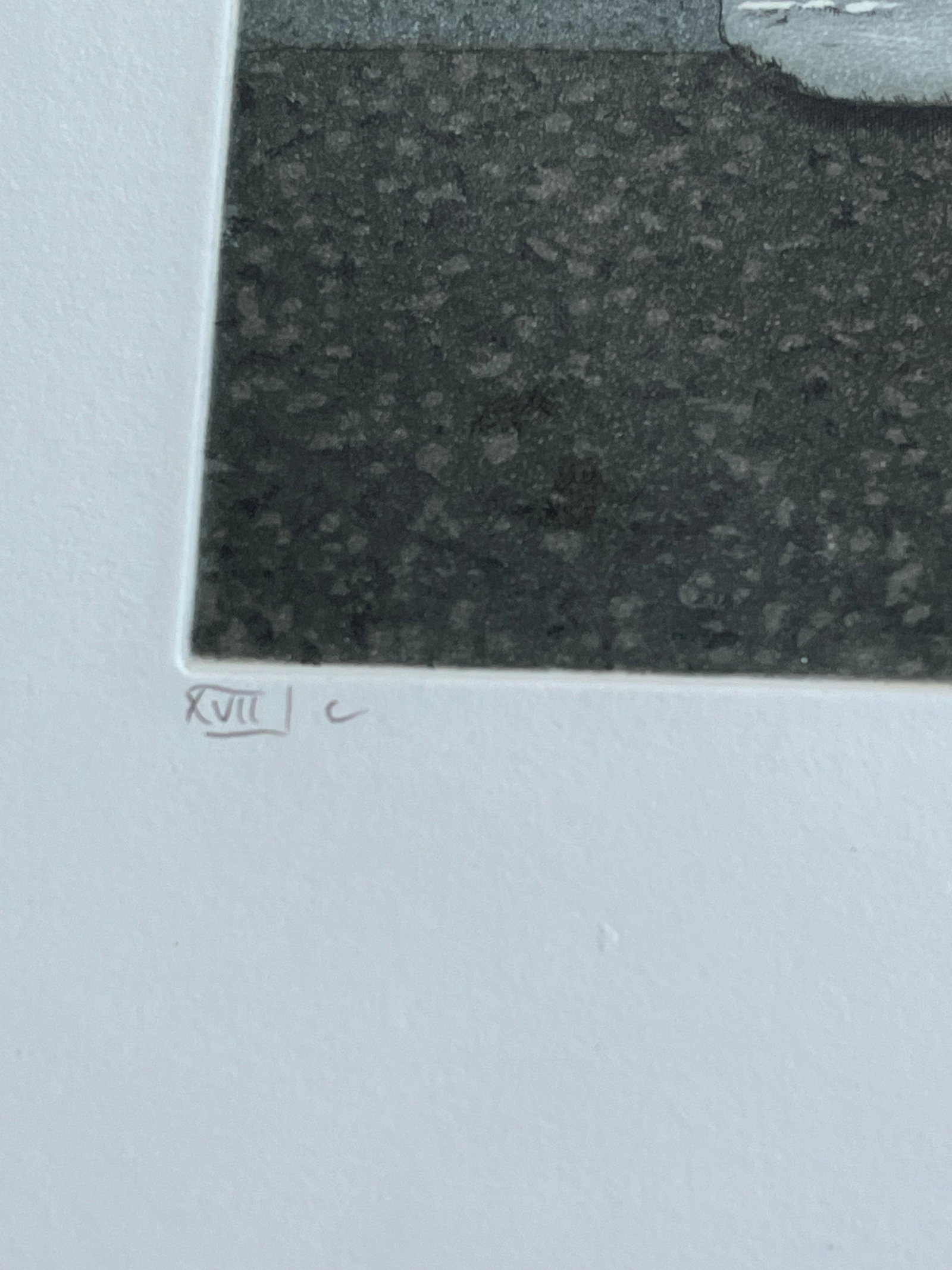 FRAMED GERMAN ETCHING - 4