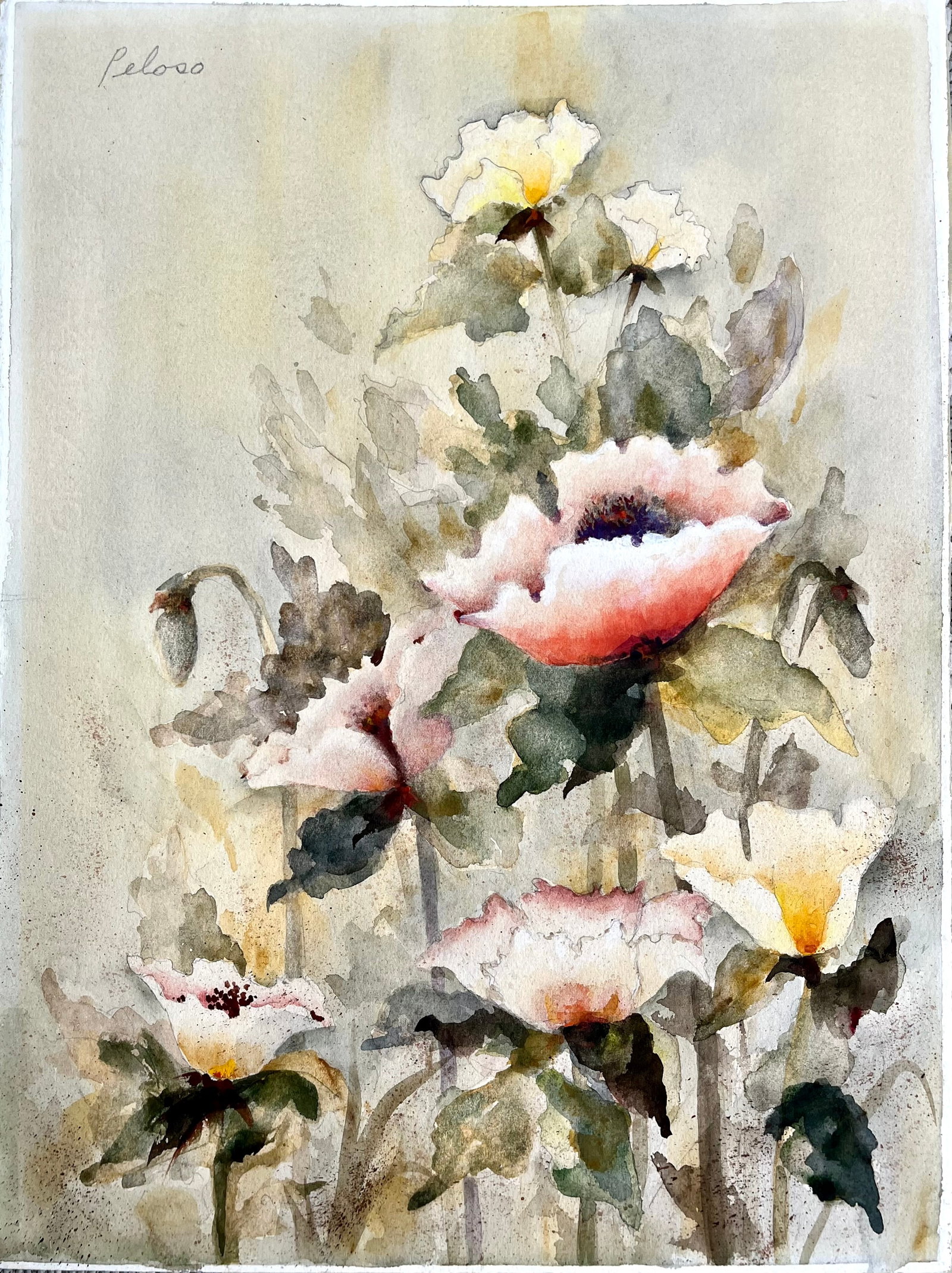 Original Vintage Watercolor Floral Wall Art Soft Poppies in Pink,Yellow & White: Beautiful original watercolor painting signed “Peloso” in the upper left corner. The artwork depicts a soft and luminous arrangement of poppies in shades of coral, white, and yellow with green