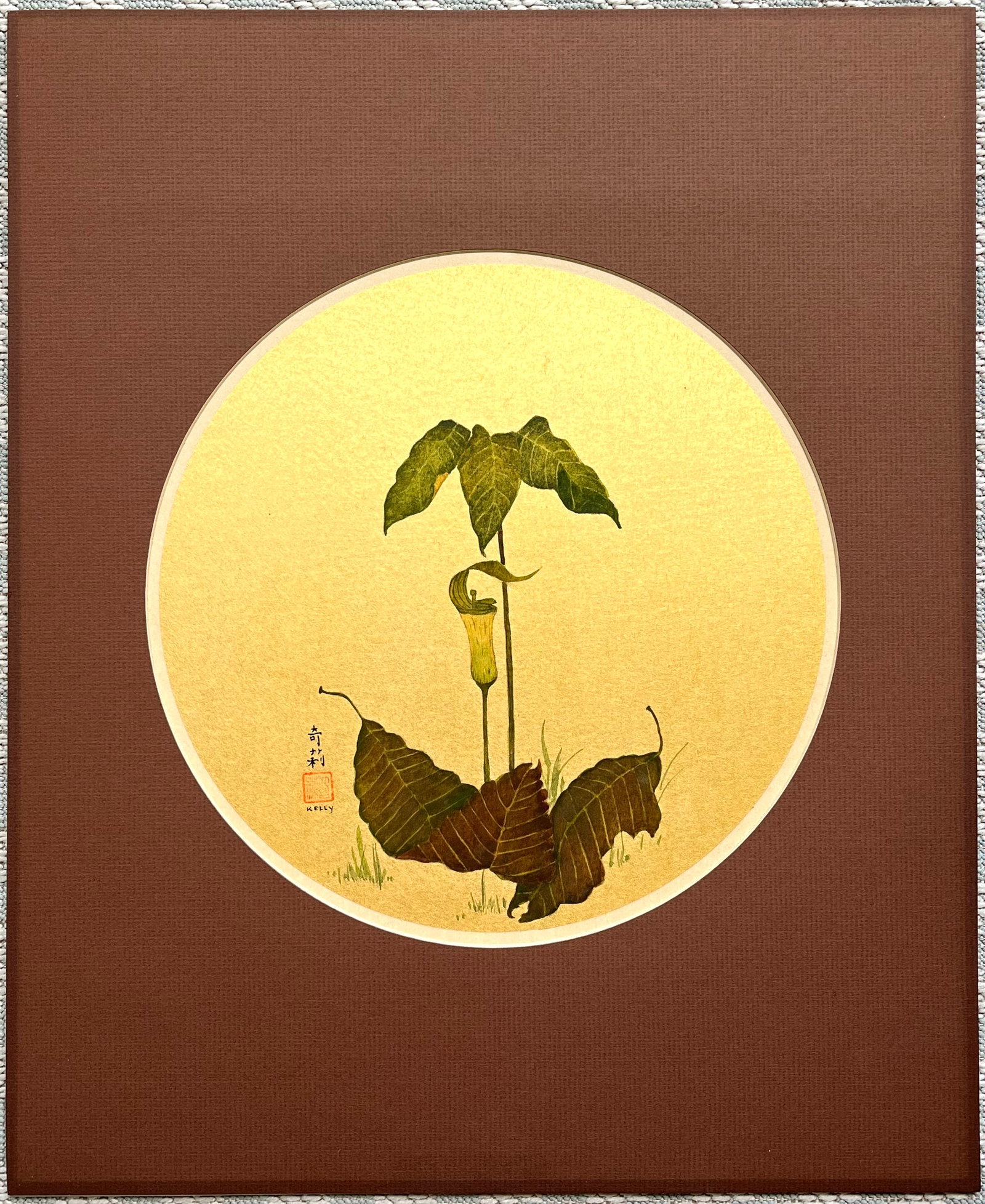 Original Vintage Botanical Watercolor Jack In The Pulpit By Jo Kelly: Exquisite original vintage watercolor painting depicting a Jack-in-the-Pulpit (Arisaema triphyllum) plant with surrounding fallen leaves. The delicate botanical subject is rendered in fine detail agai