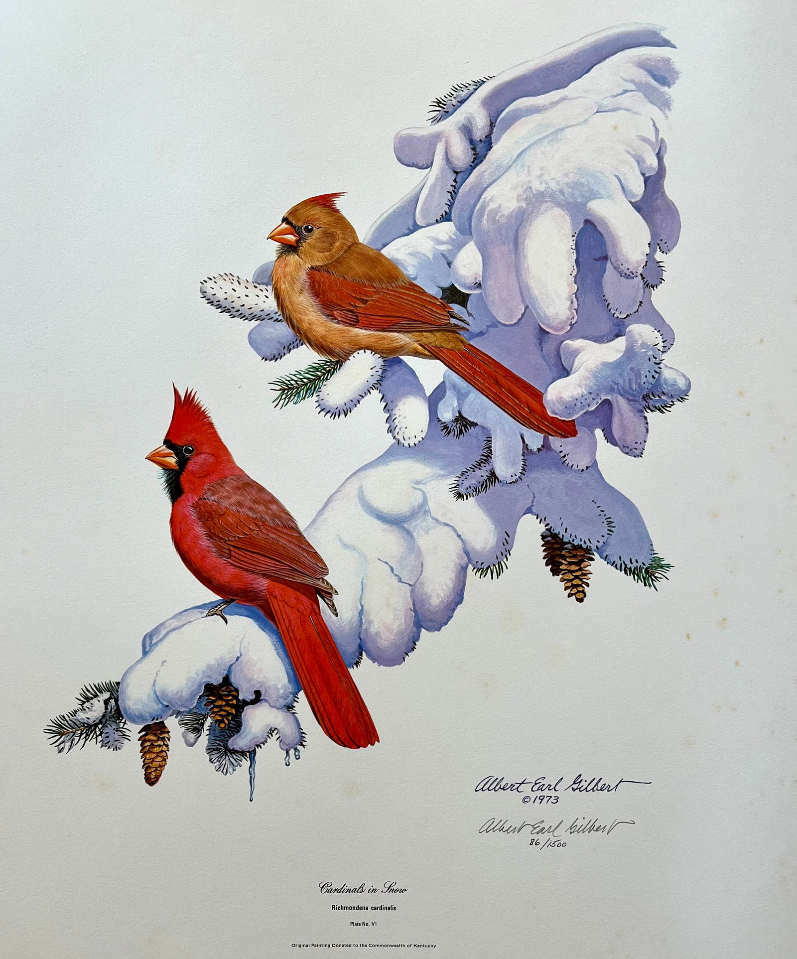 VINTAGE ALBERT EARL GILBERT SIGNED PRINT "CARDINALS IN SNOW": PENCIL SIGNED AND NUMBERED VINTAGE PRINT. WATERMARK. SIZE: 20X24 INCHES. UNFRAMED. SHIPPING IN THE U.S VIA USPS PRIORITY MAIL $25
