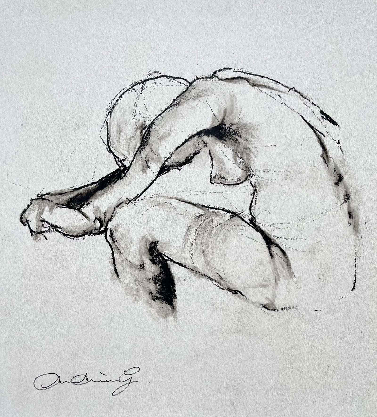 MIXED MEDIA ON PAPER FEMALE NUDE AFTER JULES DEBOIS: SIZE: 20.5 cm x 22 cm . DRAWING IS UNFRAMED. SHIPPING IN THE U.S VIA USPS PRIORITY MAIL $15