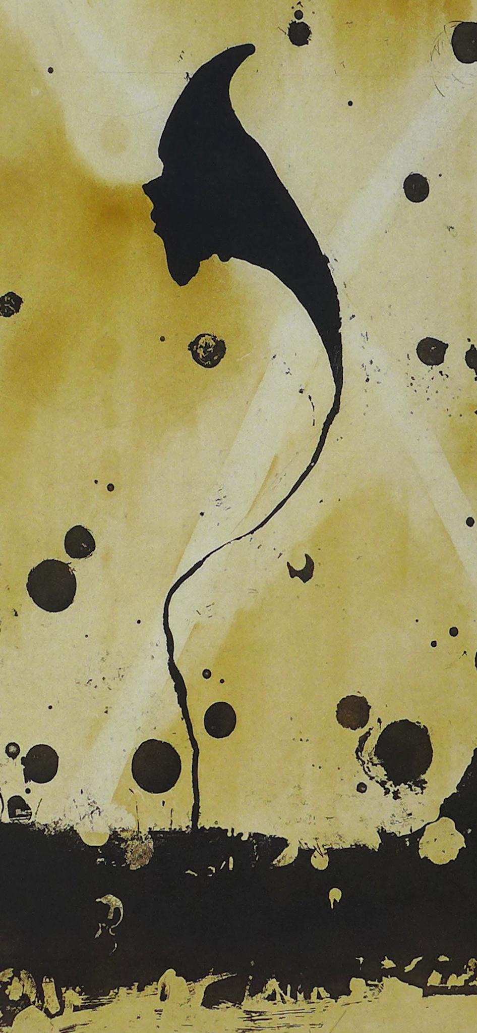 Daniel Senise: Daniel Senise (1955) Flor, 1999 Gravure signée numérotée 19/60 et datée par l'artiste gravure, aquatinte, eau-forte 67 cm x 89 cm Editée et imprimée par Poligrafa, Barcel