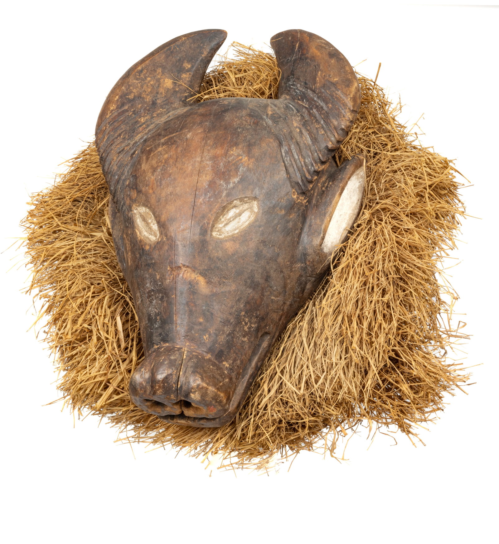 Holo mask in form of a buffalo head (1 of 1)