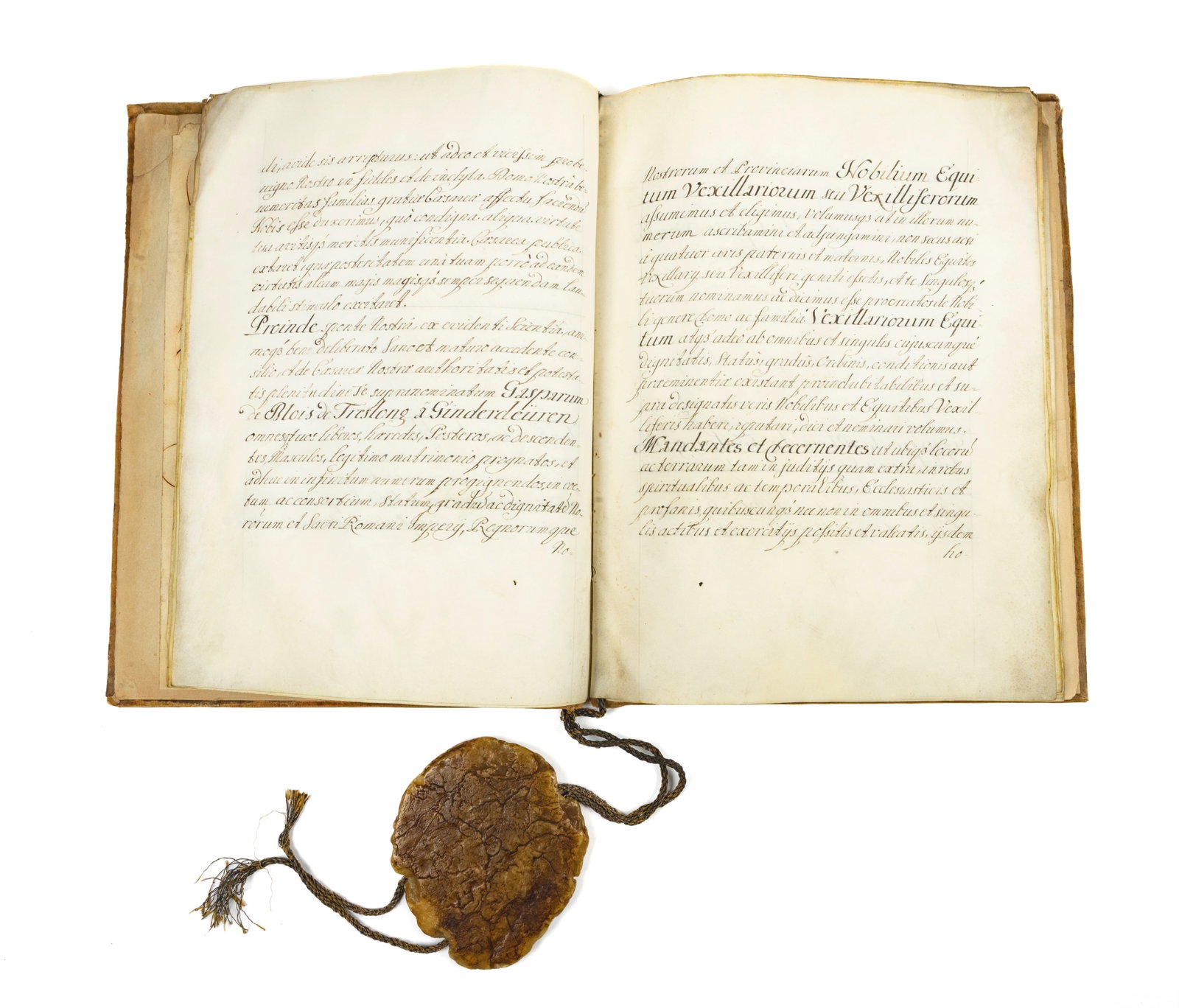 Nobility diploma by Emperor Leopold I (1 of 4)
