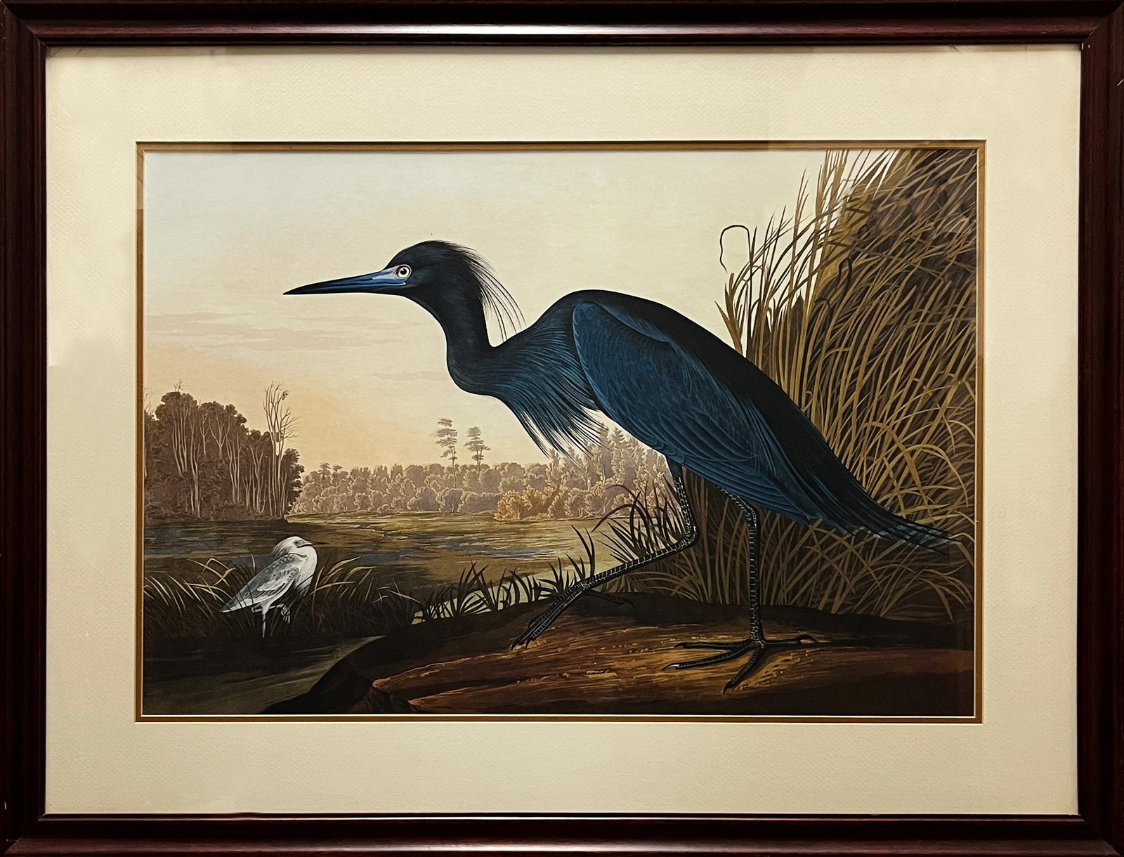 After James Audubon Color Lithograph of a Blue Heron in a Lush Landscape "Blue Heron" (1 of 8)
