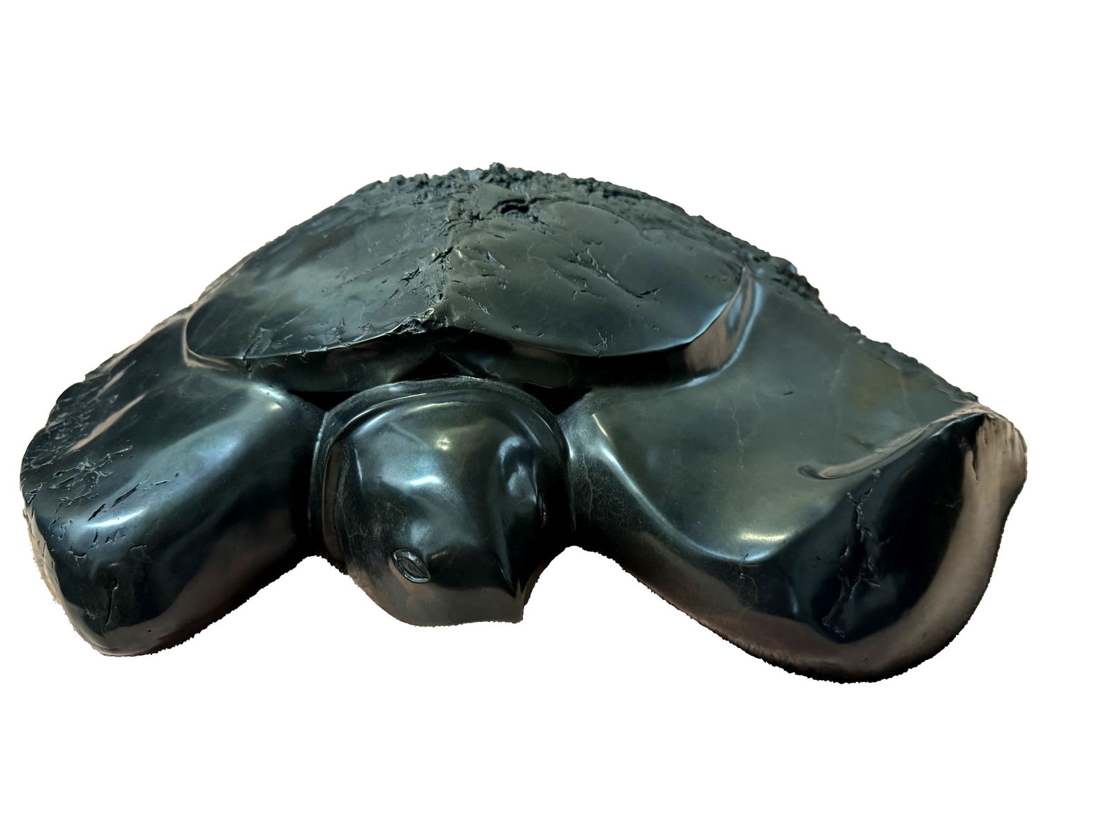 Leo E. Osborne, Signed Bronze Turtle Sculpture (1 of 7)