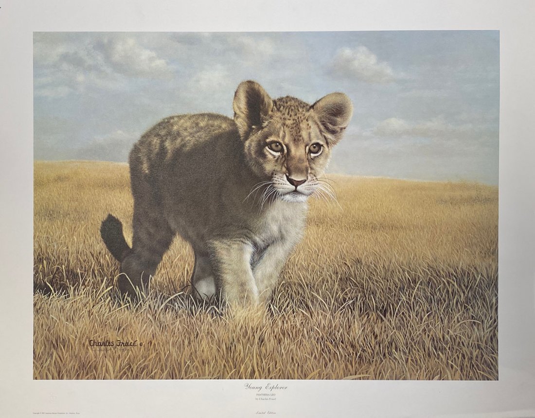 Charles Frace - "Young Explorer": Artist â€“ Charles Frace Title - "Young Explorer"Category - MultipleMedium â€“ Original Print on PaperEdition â€“ Of 2500Signature - Hand signed and numbered Size â€“ 28” x 2