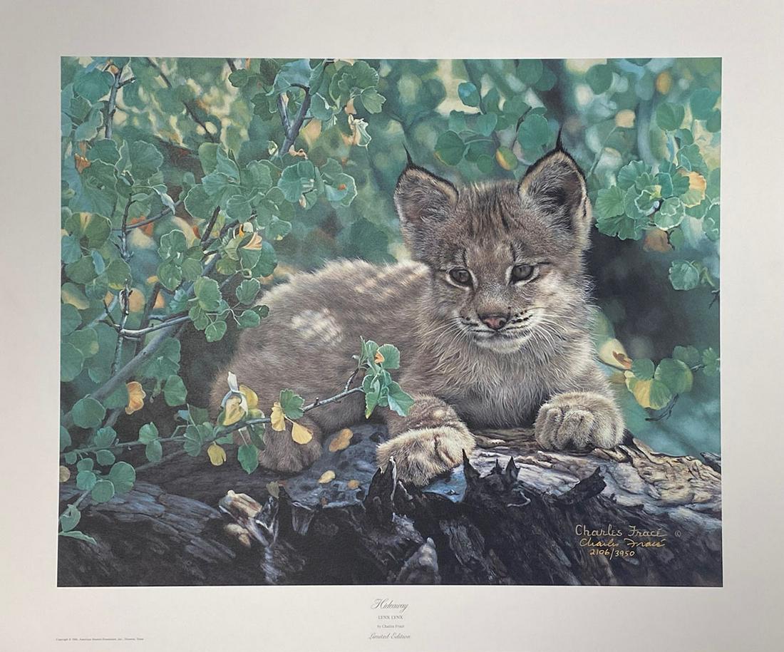 Charles Frace - "Hideaway" (1 of 3)