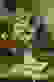 item-84347633=2