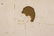 Randolph LaSalle Coats (1891 - 1957) - 7
