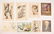Victor Perard (1870 - 1957) Paintings & Etchings