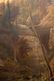 Isaac Wilbur (- 1881) Waterfall and Forest Landscape - 2