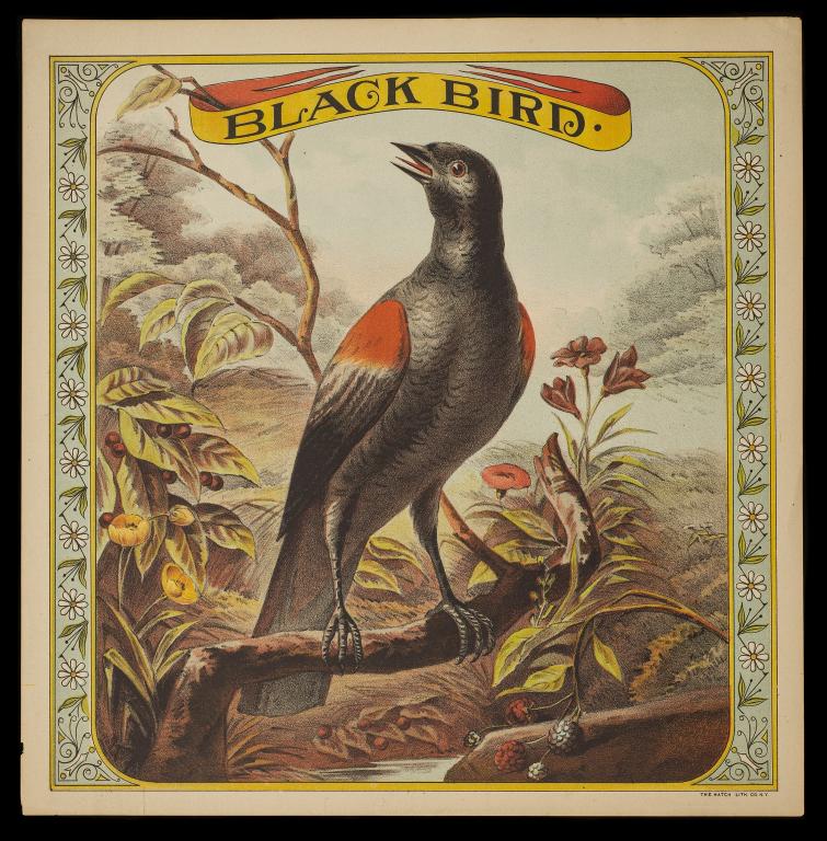Black Bird Tobacco Crate Caddy Label (1 of 2)