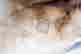 item-109032554=13