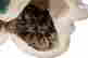 item-109032554=9