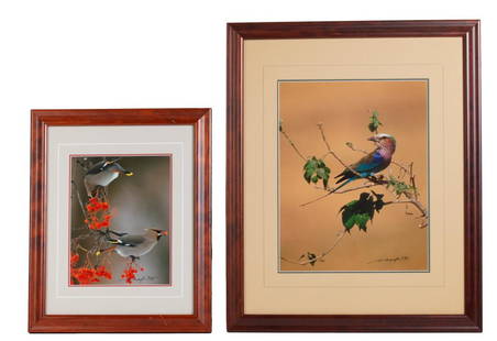 Pair Signed Nature Photography, Thomas D Mangelsen: Item/Description: Signed and dated original color photographs. Set of two includes: "Bohemian Waxwing Pair". Signed and dated 1985 and "African Colors - Lilac Breasted" (roller) Signed and dated: 1991