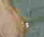 item-130751476=6