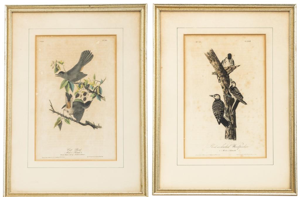 Pair Royal Octavo Audubon Prints, Birds of America (1 of 18)