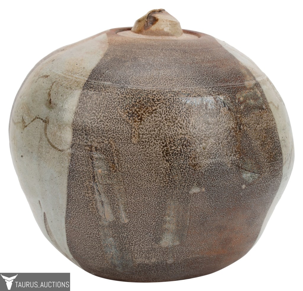 Sandra Johnstone Salt-Fired Lidded Vessel (1 of 11)