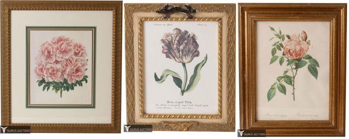 Three Antique Botanical Engravings