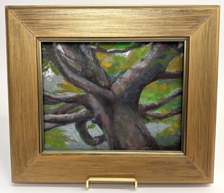 Shane McDonald Shade Tree Oil on Canvas Painting