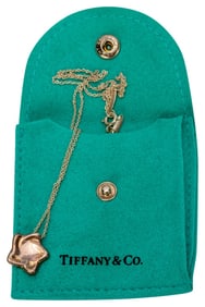 Tiffany Elsa Peretti Silver Star Pendant Necklace