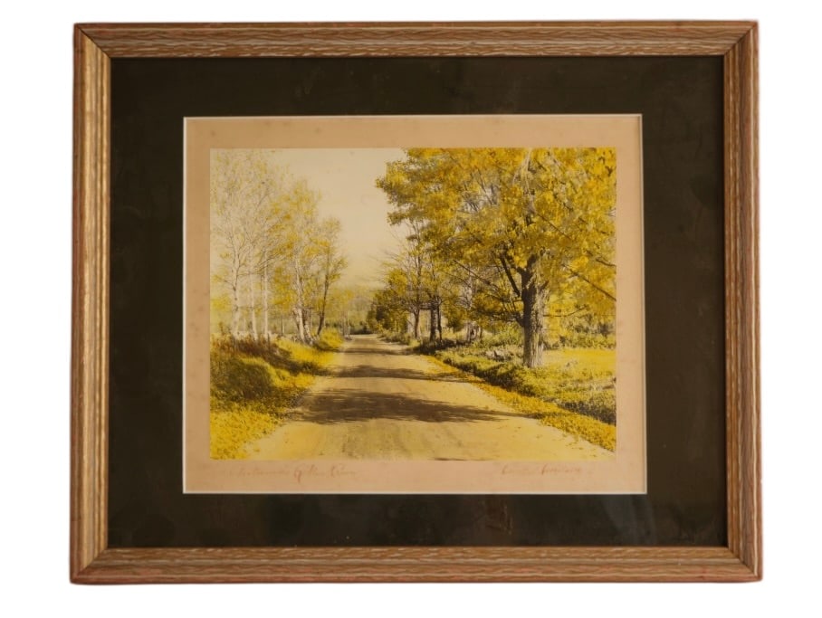 David Davidson - Colored Landscape Photo: Item/Description: David Davidson hand-colored and signed photograph titled "Autumn's Golden Crown". Exterior scene. New England. Landscape, tree lined dirt road with birch trees and autumn leaves. Fra