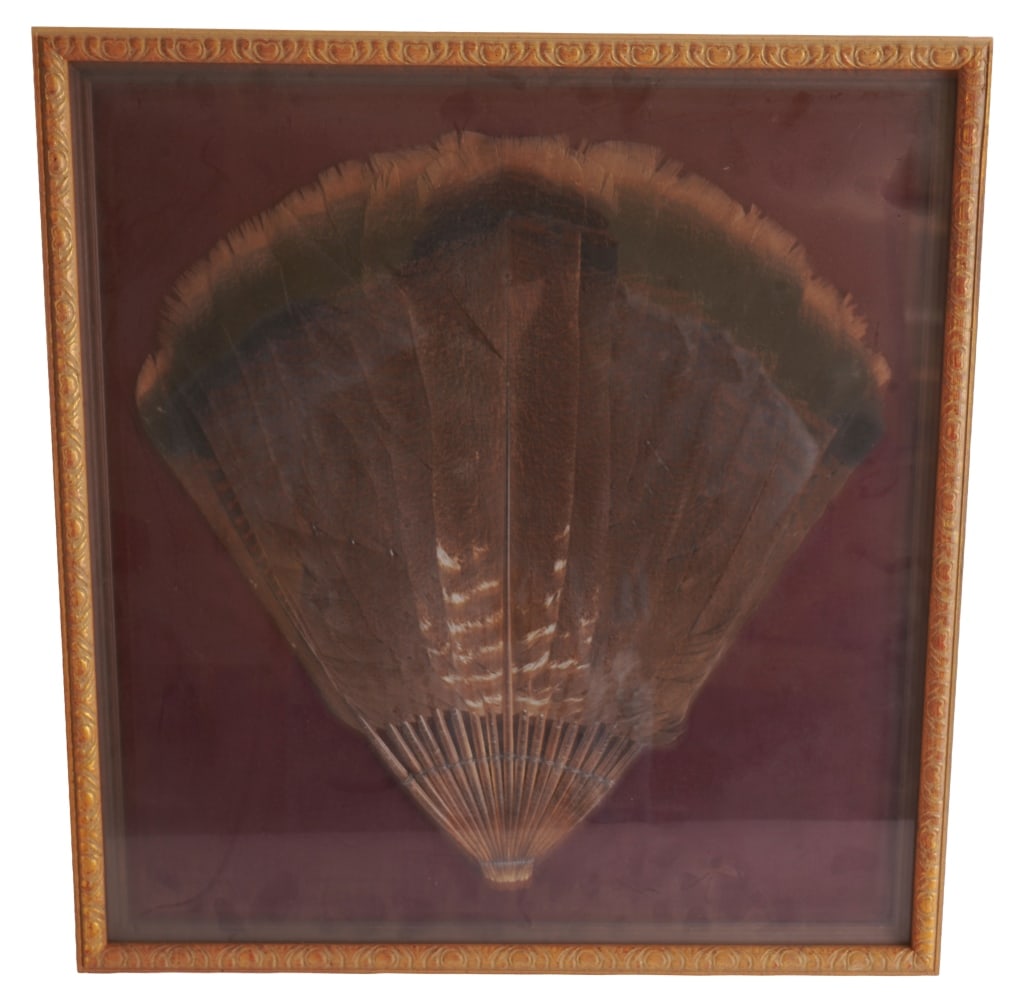 Framed Turkey Feather Hand Fan: Item/Description: Mounted and framed turkey feather hand fan. The handle of quills is wrapped in wire. (Victorian, Art Deco) Material: Feathers, Wood Frame Dimensions: Height: 20"; Width: 18 1/2"