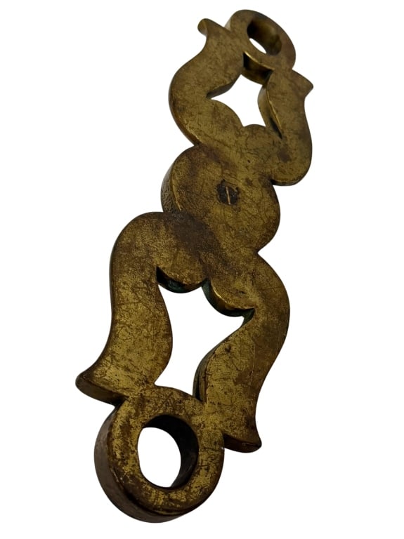 Bronze Lion Head Entry Door Pull Backplate - 6