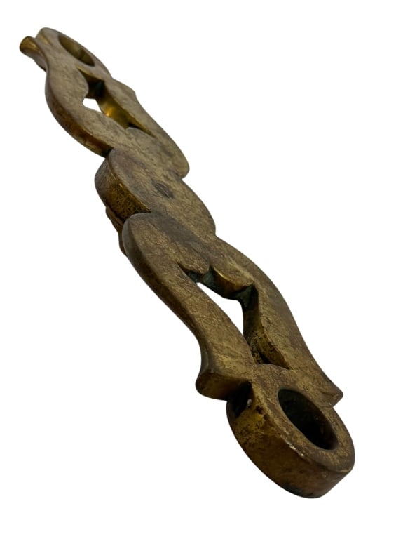 Bronze Lion Head Entry Door Pull Backplate - 7