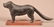 Cast Iron Saint Bernard Dog Nut Cracker. - 2
