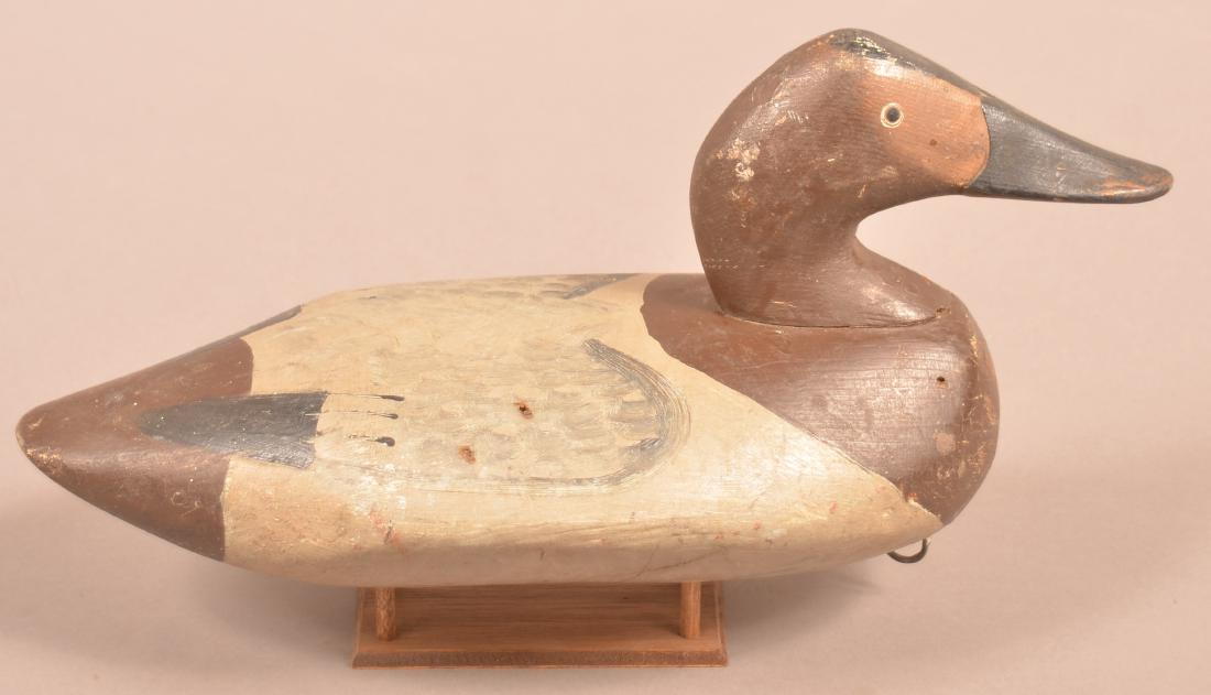 Havre de Grace/Eastern Shore Canvasback Hen Decoy. (1 of 3)