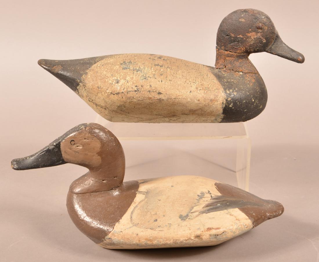 Two Carved Canvasback Drake Decoys. (1 of 3)