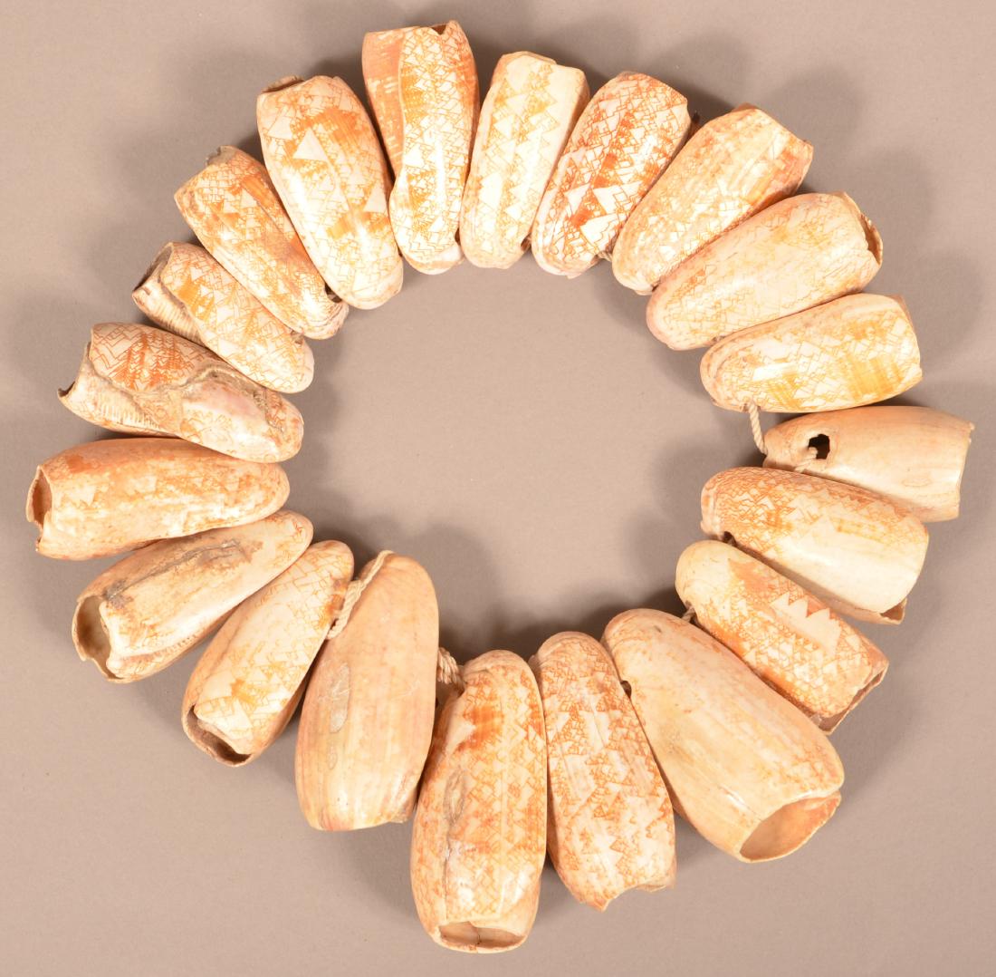 Olivella Shell Dance Rattle, Pueblo Indian Type (1 of 2)