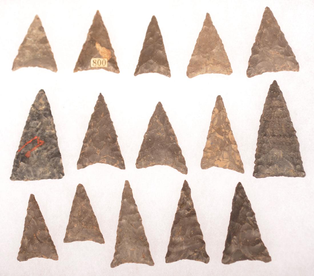 Select Collection of 15 Triangular Arrow Points from (1 of 1)