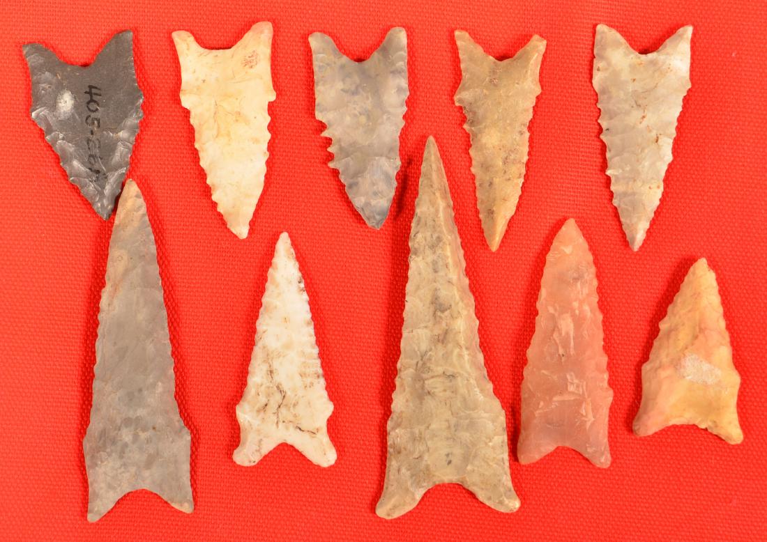 10 Ancient "Dalton" Type Points (1 of 1)