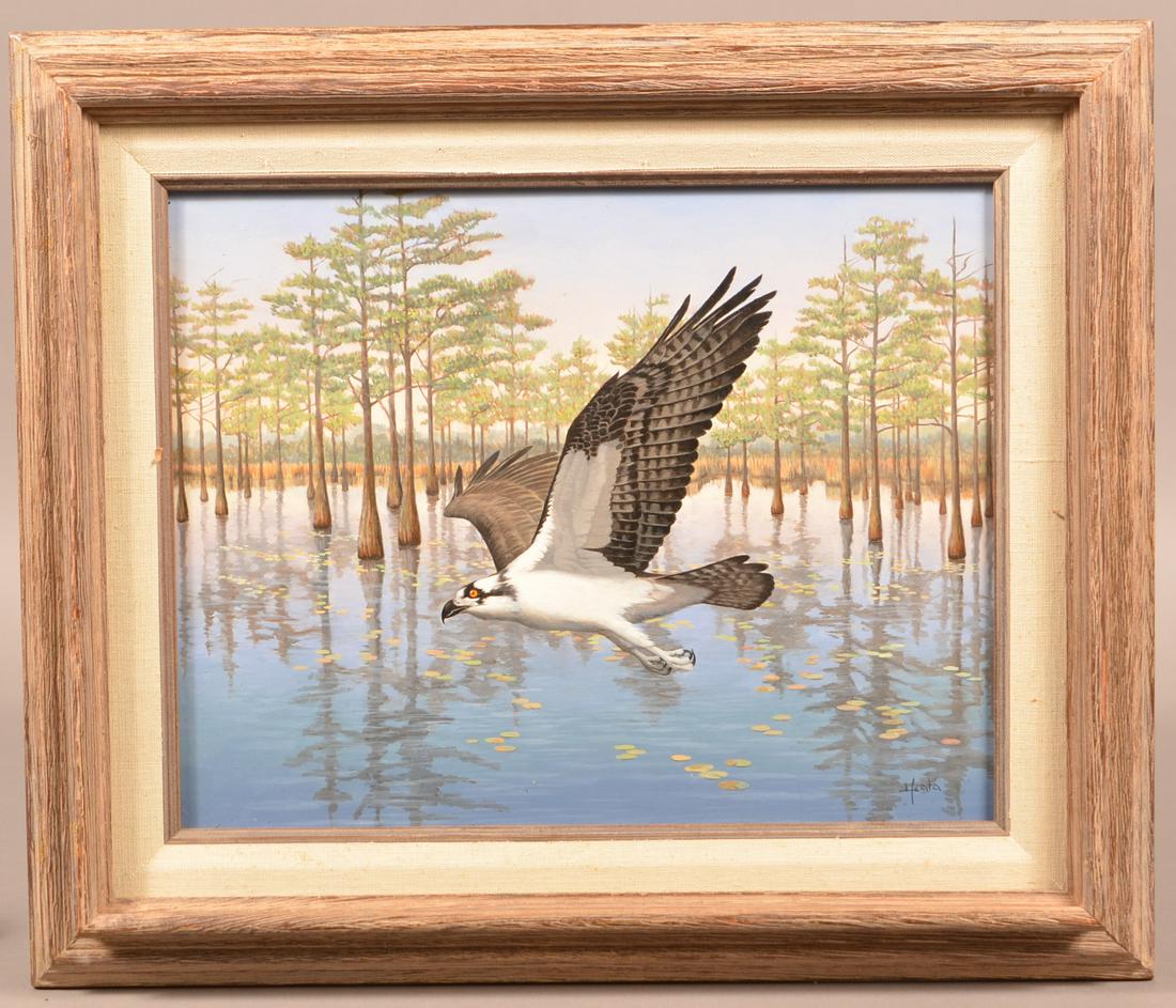 Acrylic Painting of a Marsh Hawk in Flight.: Acrylic Painting of a Marsh Hawk in Flight. (Northern Harrier). Artist signed lower right. Framed 16" x 19" overall. Condition: Very good.