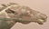 Copper & Zinc Dimensional Horse & Jockey Weathervane - 3