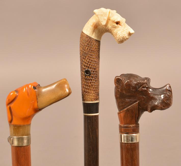 Three Vintage Dog Head Handle Canes.: Three Vintage Dog Head Handle Canes. Horn wood and composition carved and molded handles. Longest measures 37-1/2". Condition: Good with minor wear.
