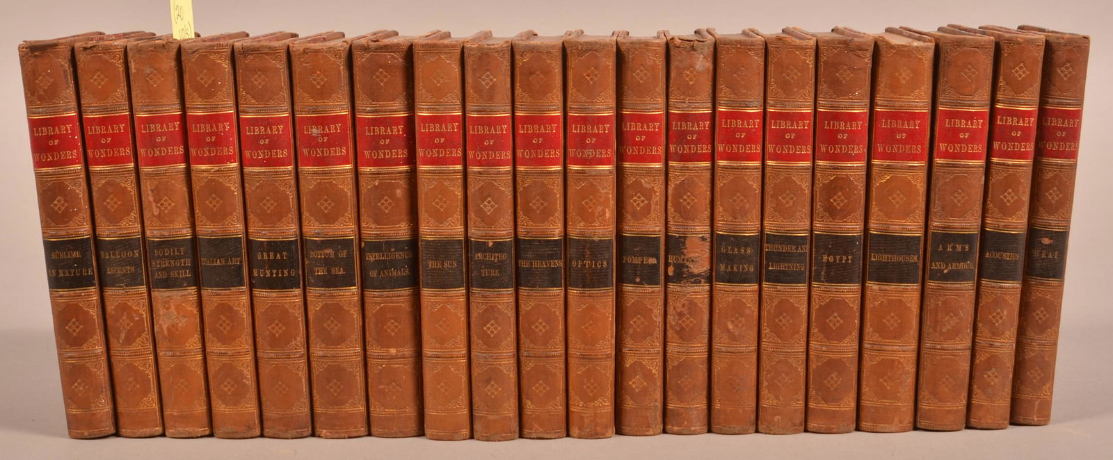 20 Volume Library of Wonders NY 1870 Leather (1 of 3)