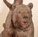 19th Century German Black Forest Lindenwood Hall Tree. - 2