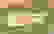 item-81728241=2