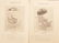 1891 Farm & Garden Tools + Carriages + Mowers - 5