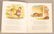 12 Small Children's Books 19th c - 2