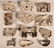 Twelve Various Antique Figural Tin Cookie Cutters.