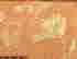 item-82158199=4